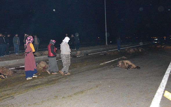 Koyun sürüsüne çarpan minibüsü benzinle ateşe verdi! - Resim: 3