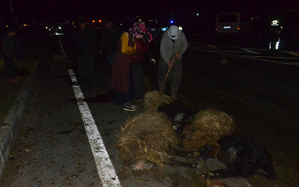 Koyun sürüsüne çarpan minibüsü benzinle ateşe verdi! - Resim: 4
