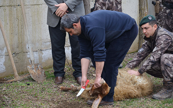 Afrin'e gitmek için hepsi gönüllü olunca kura çekildi! - Resim: 3
