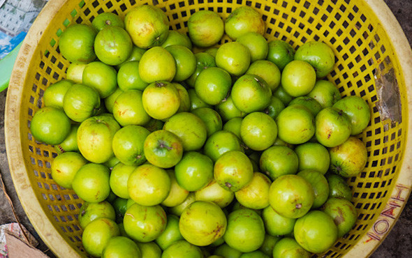 Elma gerçekten uyku açıyor mu faydaları nelerdir - Resim: 3