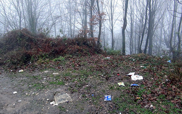 Ormanda ağır yaralı olarak bulundu! Doktora ne oldu? - Resim: 3