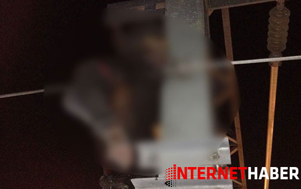 Elektrik direğine çıkan şahıs feci şekilde can verdi! - Resim: 1