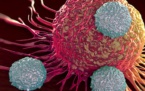 Bağışıklık sistemi nedir nasıl güçlendirebiliriz ?Kansere karşı... - Resim: 1