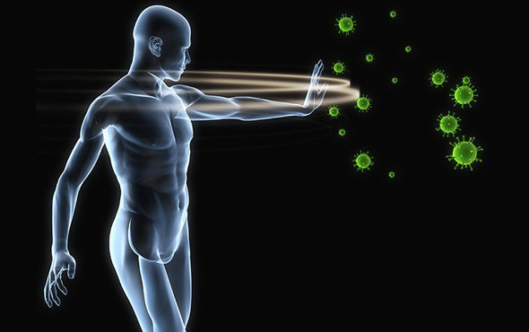 Bağışıklık sistemi nedir nasıl güçlendirebiliriz ?Kansere karşı... - Resim: 2