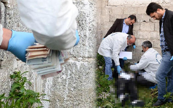 Korkunç olay: Taşlanarak öldürüldü, avuçlarında... - Resim: 1