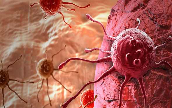 Kanserden korunmak için beslenme ve egzersiz çok önemli! - Resim: 1