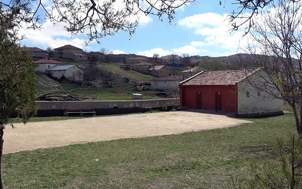 İlkokulda iğrenç olay: 5'i kız 13 çocuğa cinsel istismar! - Resim: 3