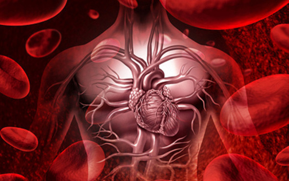 Tuzun azı karar çoğu zarar! İşte tuzun en önemli zararı - Resim: 3