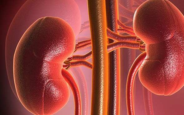 Tuzun azı karar çoğu zarar! İşte tuzun en önemli zararı - Resim: 4