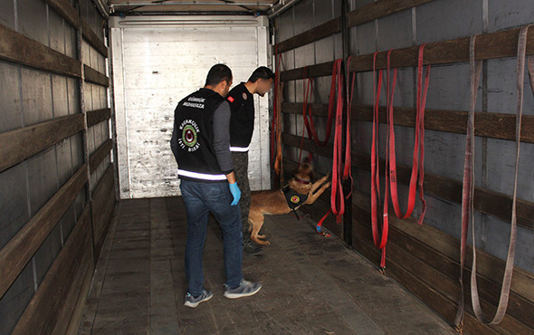 Tahtaların içinden çıktı: 4 milyon değerinde! - Resim: 3