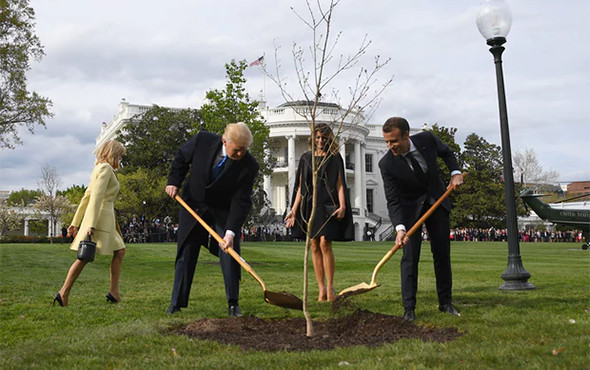 Tüm dünya bu fotoğrafı konuşmuştu: Bakın ne oldu? - Resim: 2