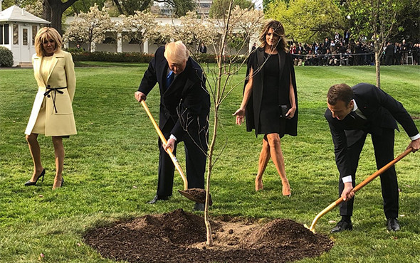 Tüm dünya bu fotoğrafı konuşmuştu: Bakın ne oldu? - Resim: 3