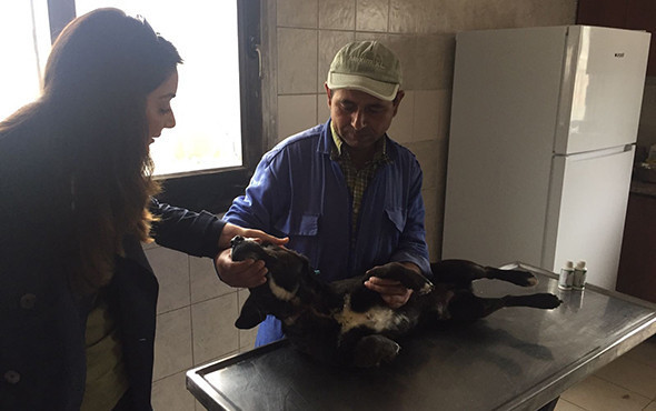 Bir ilçe 5 ay onu aradı: Ölmek üzereyken bulundu! - Resim: 2