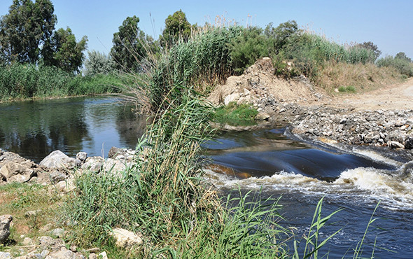 Korkutan olay: Milyonlarca balık öldü, martılar telef oldu! - Resim: 3