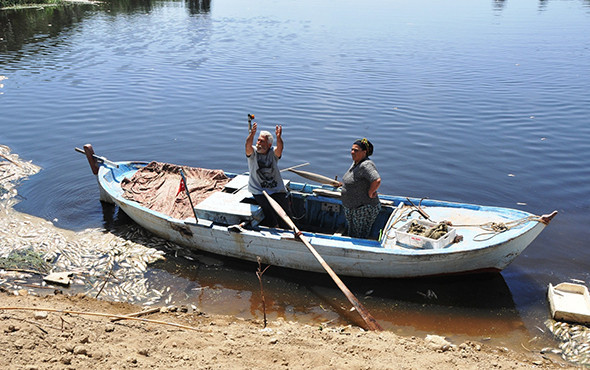 Korkutan olay: Milyonlarca balık öldü, martılar telef oldu! - Resim: 4