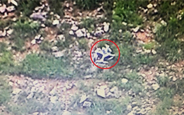 TSK görüntüleri paylaştı: Böyle düşürüldü! - Resim: 2