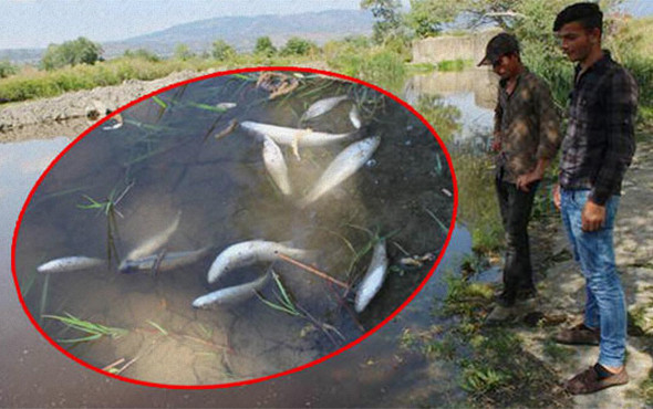 Soruşturma başlatıldı! Önce su kırmızı renkte aktı sonra da... - Resim: 1