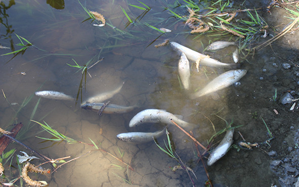 Soruşturma başlatıldı! Önce su kırmızı renkte aktı sonra da... - Resim: 2