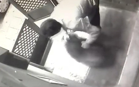 Bir köpeğe şiddet haberi daha: Bu kez yer Kadıköy! - Resim: 2