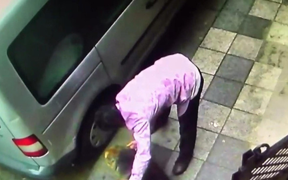 Bir köpeğe şiddet haberi daha: Bu kez yer Kadıköy! - Resim: 3