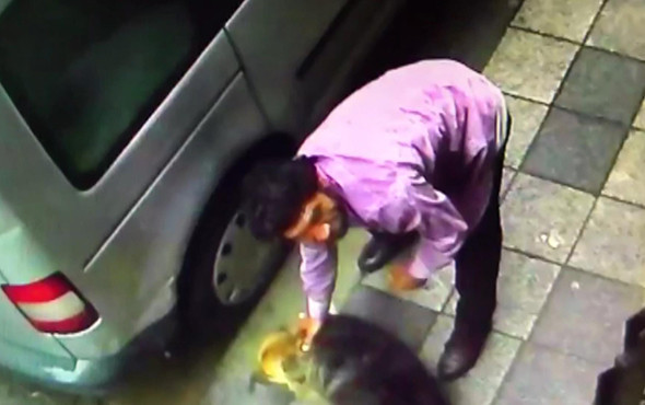 Bir köpeğe şiddet haberi daha: Bu kez yer Kadıköy! - Resim: 4