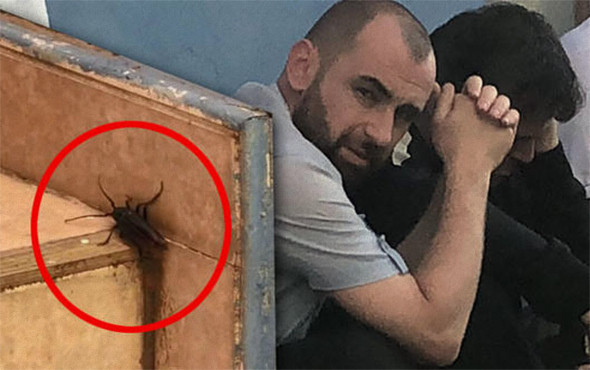 Böcekler istila etti: Korkunç olay ortaya çıktı! - Resim: 1