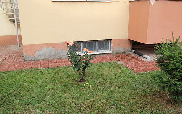 Korkunç şekilde can verdi: Yaren'den acı haber! - Resim: 2