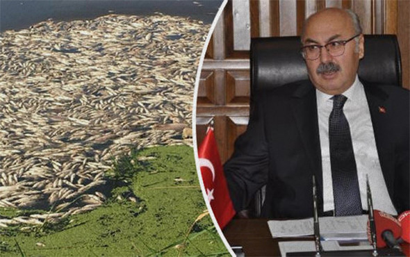 Bu görüntüler herkesi korkutmuştu: Nedeni açıklandı! - Resim: 1