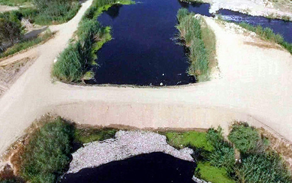 Bu görüntüler herkesi korkutmuştu: Nedeni açıklandı! - Resim: 2