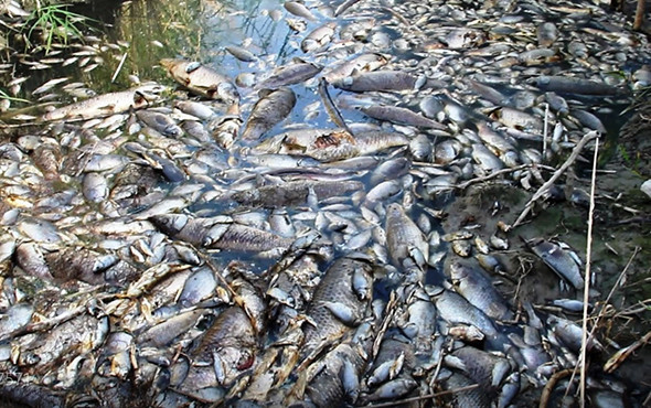 Bu görüntüler herkesi korkutmuştu: Nedeni açıklandı! - Resim: 4