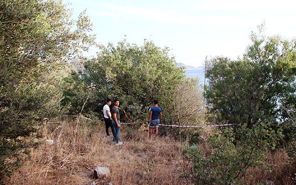 Bodrum'da dehşet: Turistler görünce esnafa koştu! - Resim: 4