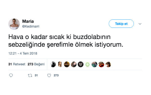 Sıcak havaların etkisiyle atılmış en komik tweetler! - Resim: 4