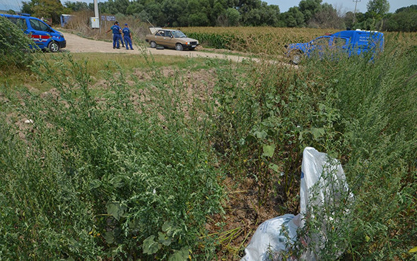 Baba-oğul hint keneviri ekemeden yakayı ele verdi! - Resim: 1
