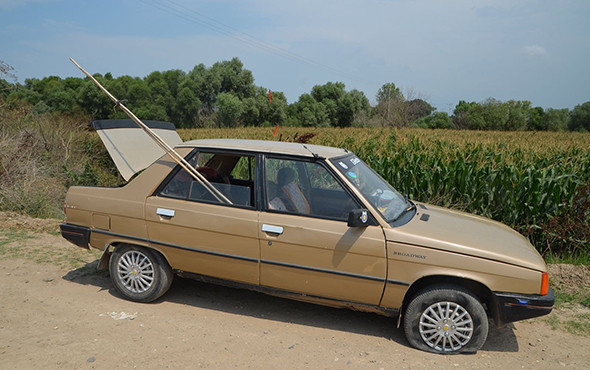 Baba-oğul hint keneviri ekemeden yakayı ele verdi! - Resim: 2