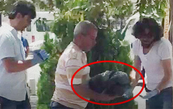 Akıl almaz olay: Bebeği ağaç altına gömdü! - Resim: 1