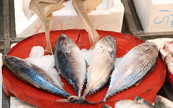 Tezgahlar doldu taştı: Fiyatlar herkesi şaşırttı! - Resim: 2