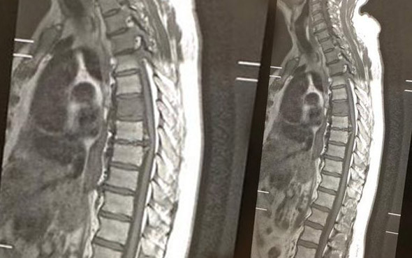 70 yaşındaki adamın içinden köpek çıktı! - Resim: 1