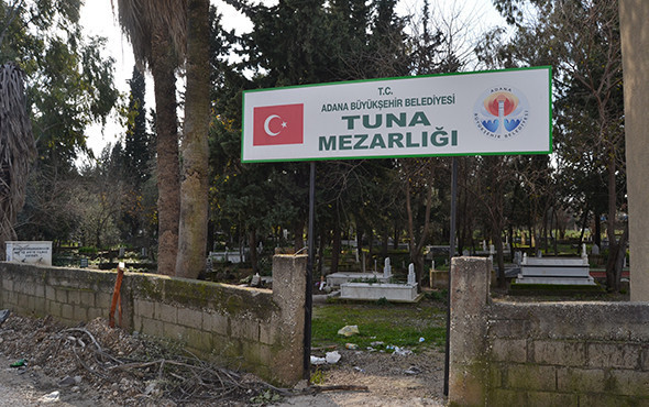 Görenler gözlerine inanamadı! Yüzlerce mezar taşı... - Resim: 2