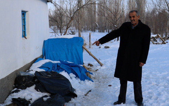 Kendirden kanser ilacı üreten Türk profesör 10 kat güçlü zırh yapınca şok yaşadı - Resim: 1