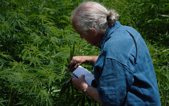 Cumhurbaşkanı söylemeden Amerikalılar incelemiş! Kenevirde dünya markası olacak - Resim: 2