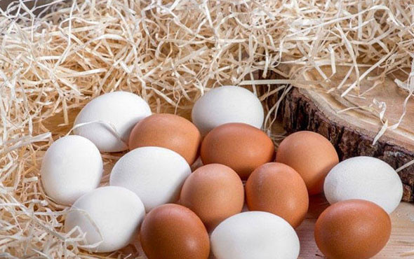 Bu hatayı sizde yapıyor olabilirsiniz! Sakın yumurtayı yıkamayın! - Resim: 1