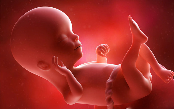 Dünyada sadece iki defa oldu bebeğin bir baba ve iki annesi olacak - Resim: 1