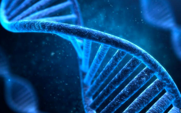 Dünyada sadece iki defa oldu bebeğin bir baba ve iki annesi olacak - Resim: 3