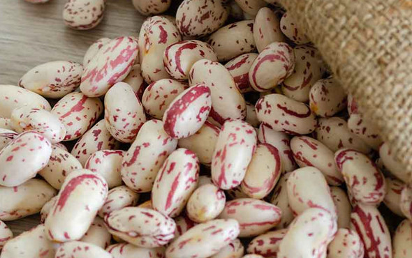 İşte barbunyanın daha önce duymadığınız faydaları - Resim: 1