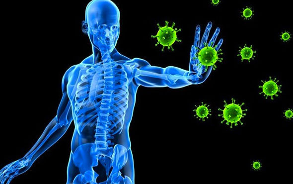 Bağışıklık sisteminizi bu besinlerle güçlendirin - Resim: 1