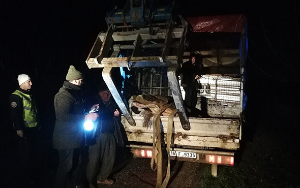 300 kiloluk inek kamyonetten kara yoluna savruldu! - Resim: 3