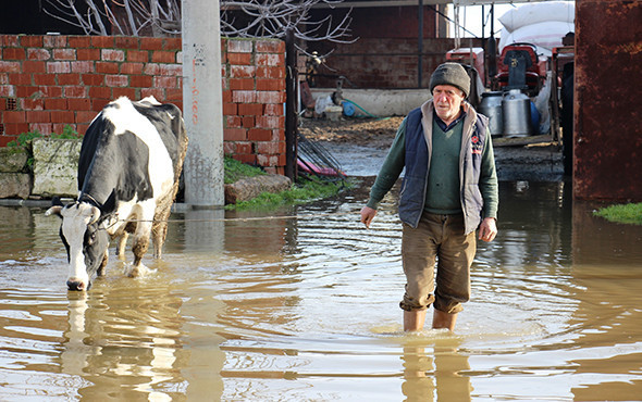 Aydın’da 100 bin dönüm tarım arazisi sular altında! - Resim: 3