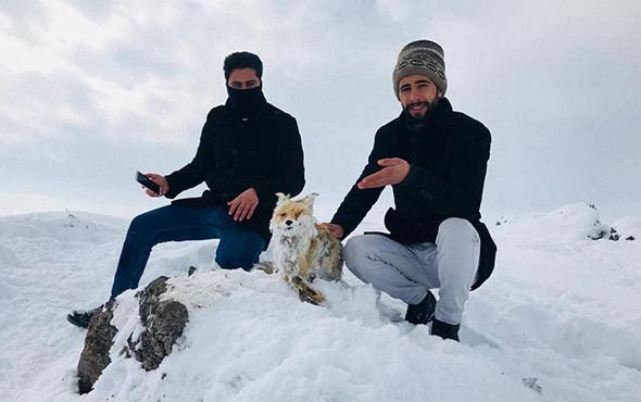 Van'da köylülerin bulduğu tilki şaşkına çevirdi : Bu haldeydi - Resim: 4