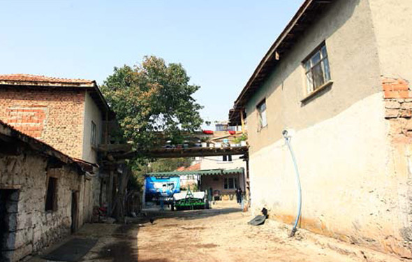 Böyle eşler de var ! Yorulmasın diye köprü yaptı - Resim: 3