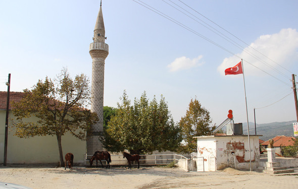 Köylüden altın duası.. Tam 40 ton - Resim: 1